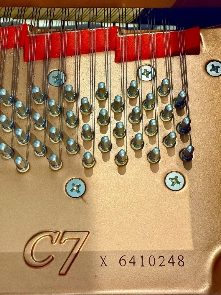 YAMAHA C7X PE