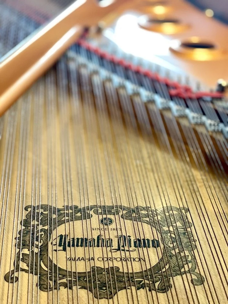 YAMAHA C7X PE