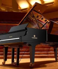 YAMAHA CFX (Next Generation)
