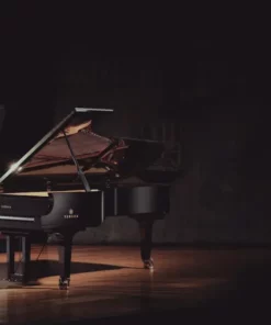 YAMAHA CFX (Next Generation)