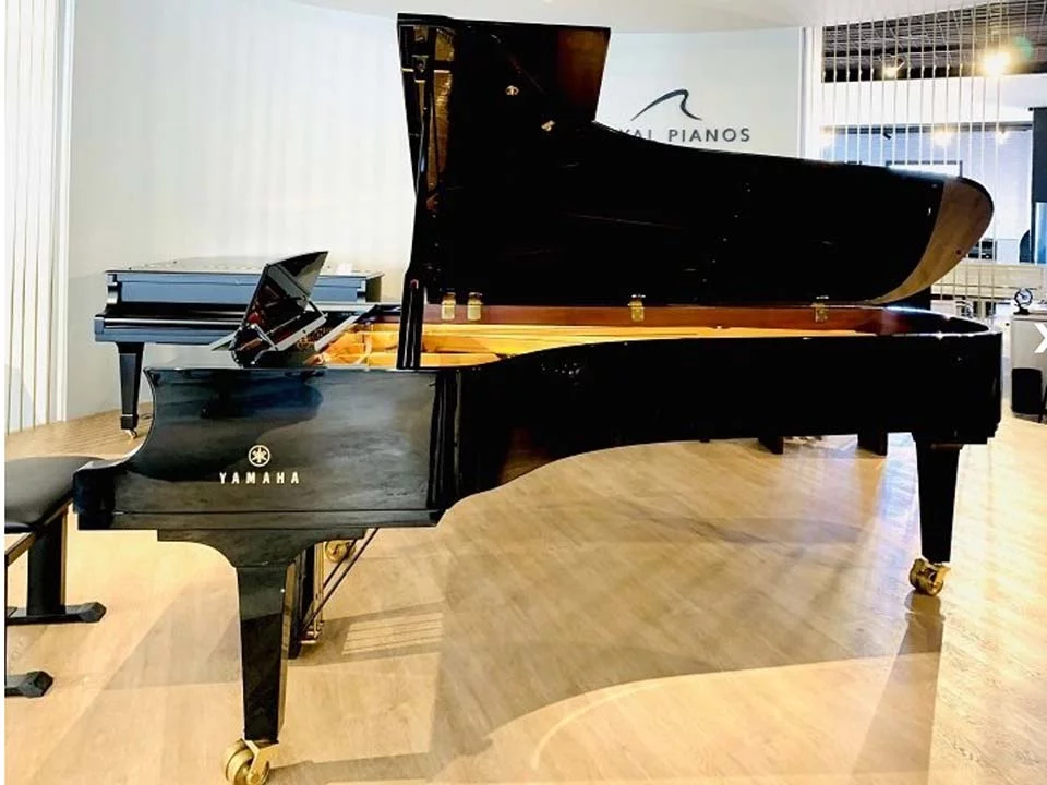 YAMAHA CFX (2010)