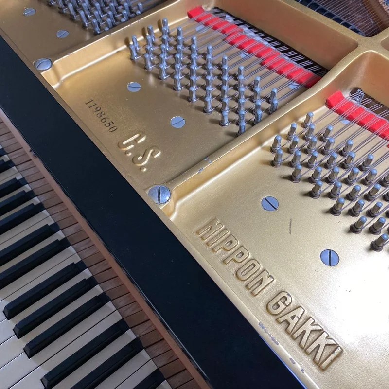 YAMAHA CS