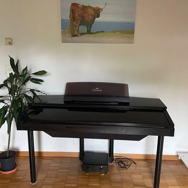 Yamaha CVP 10