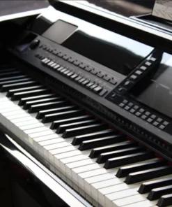 YAMAHA CVP-509 PE