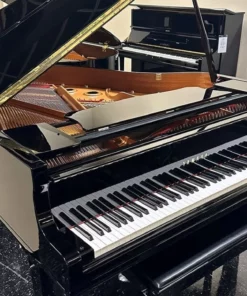 YAMAHA DGC1 ESNT PE