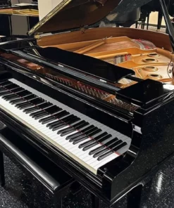 YAMAHA DGC1 ESNT PE