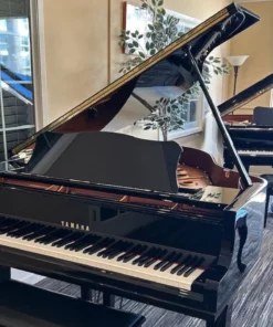 YAMAHA DGC1 ESNT PE