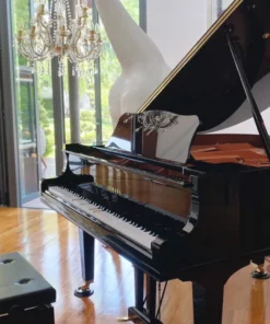 YAMAHA DGC1 ESNT PE