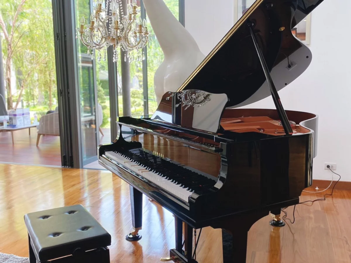 YAMAHA DGC1 ESNT PE