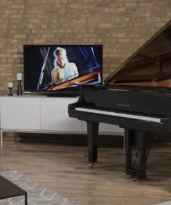 YAMAHA DGC1 ESNT PE