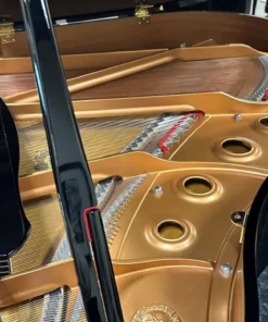 YAMAHA DGC1 ESNT PE