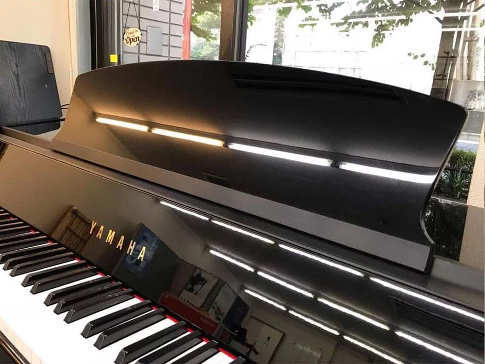 YAMAHA DGP-5