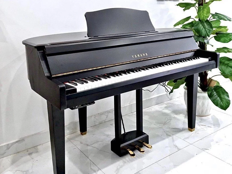 YAMAHA DGP1