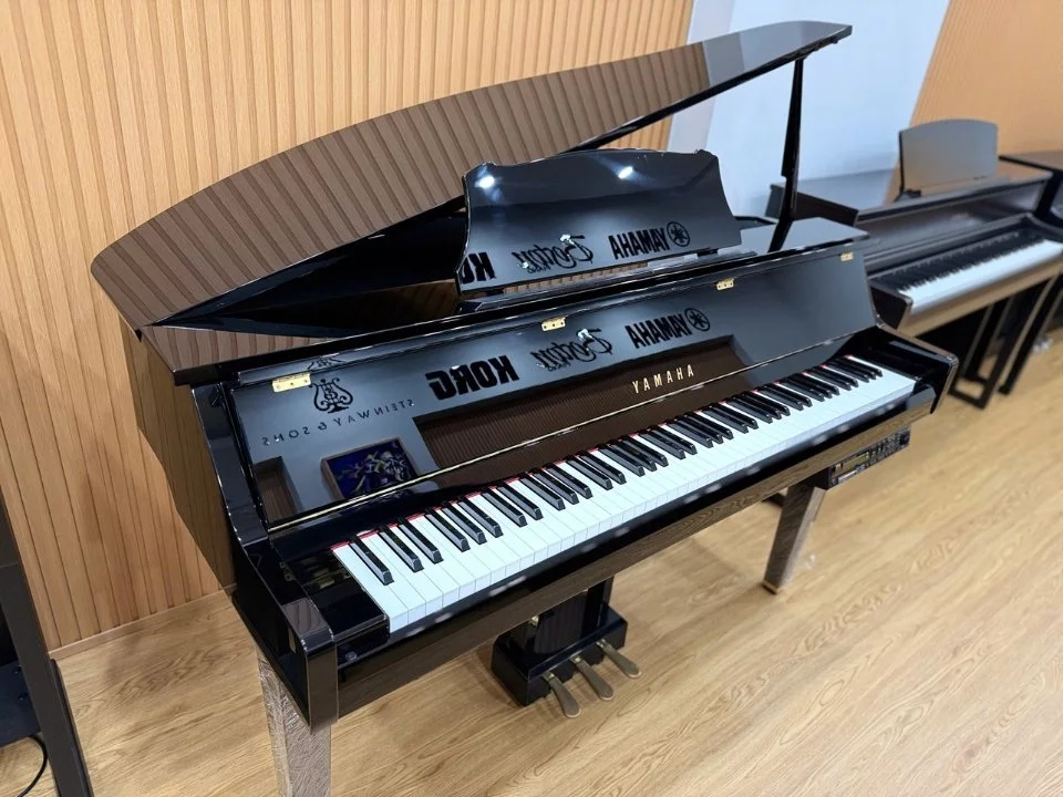 YAMAHA DGP2 XG