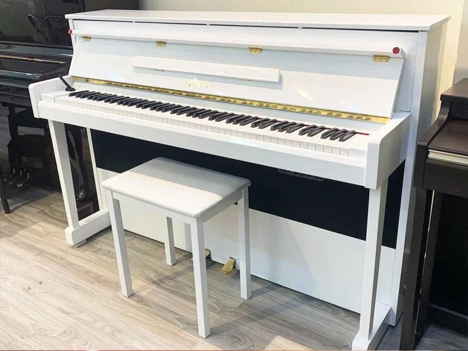 YAMAHA DUP-10 WH