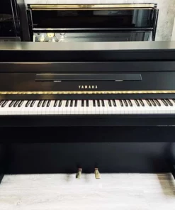 YAMAHA DUP-10 B