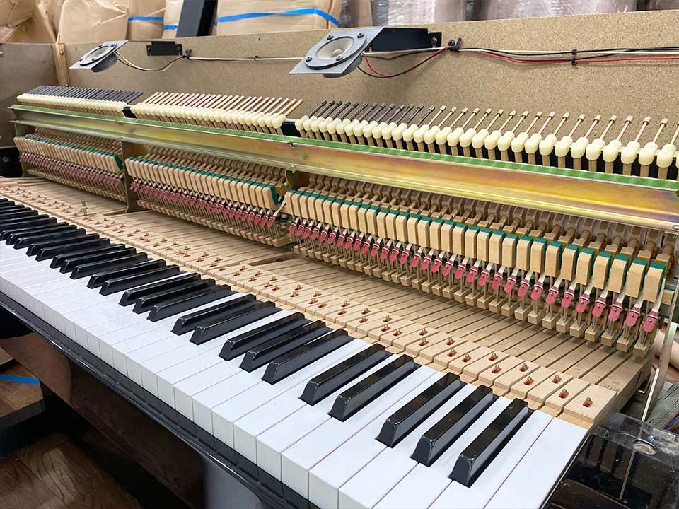 YAMAHA DUP-10 B