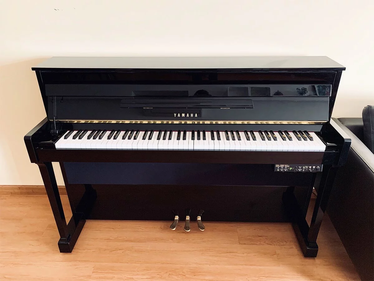 YAMAHA DUP-20 PE