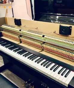 YAMAHA DUP-20 PE