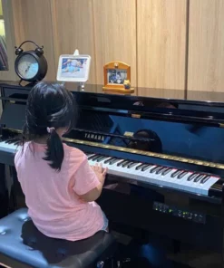 YAMAHA DUP-20 PE