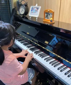 YAMAHA DUP-20 PE
