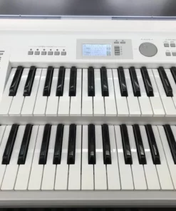 YAMAHA ELB-02 (New)