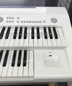 YAMAHA ELB-02 (New)