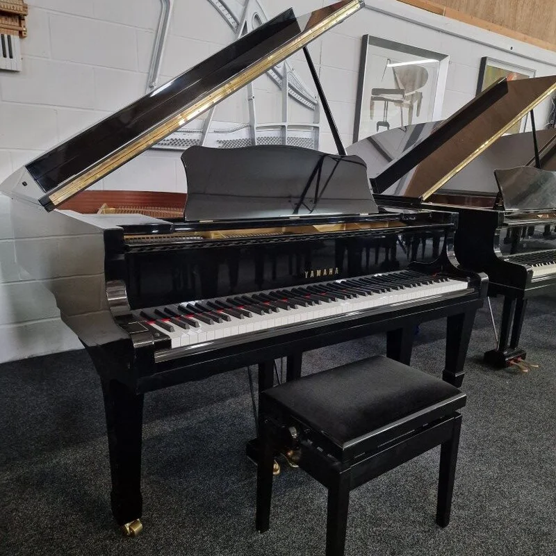 Review Yamaha G2 Black & Gold Polyester – Hình ảnh thực tế tại showroom Elite Piano
