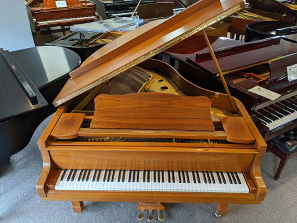 YAMAHA G2 Wn