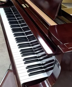 YAMAHA G2