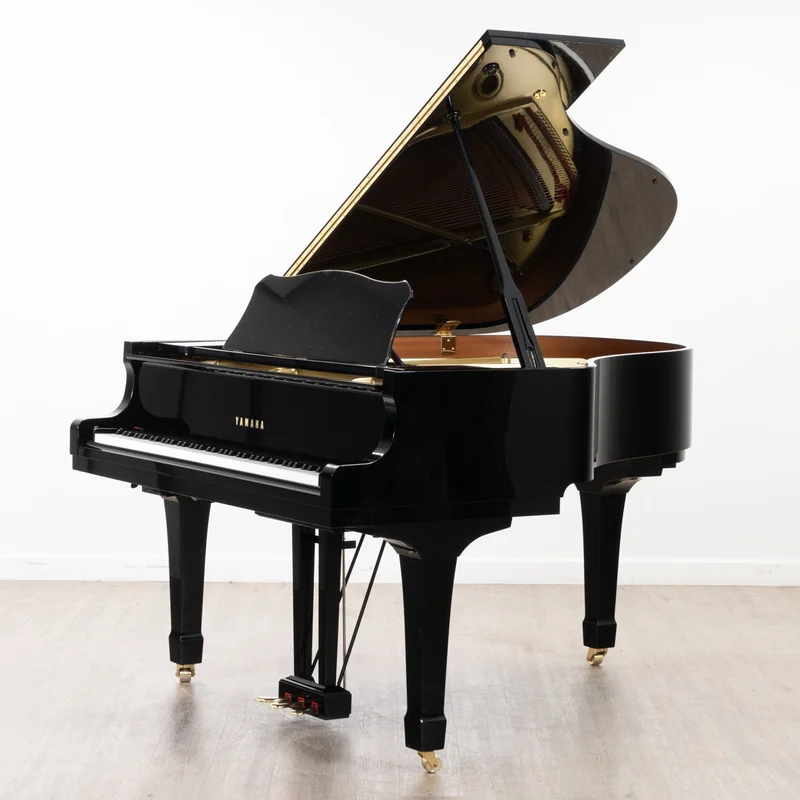 YAMAHA G2
