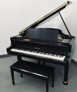 YAMAHA G2