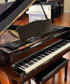 YAMAHA G2