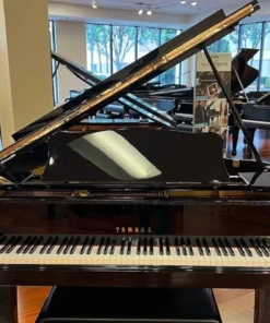 YAMAHA G2