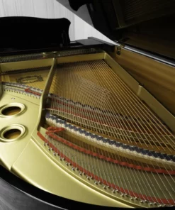 YAMAHA G3 Special