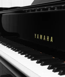 YAMAHA G3 Special