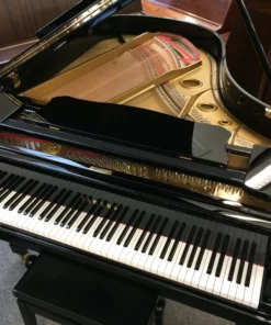 YAMAHA G3A
