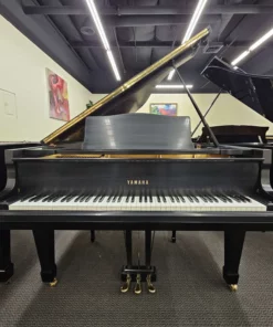 YAMAHA G3A