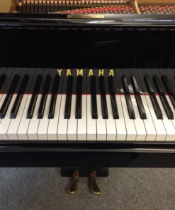 YAMAHA G3A