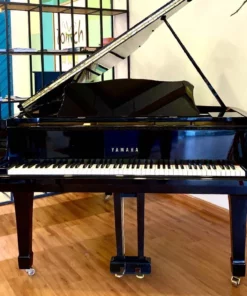 YAMAHA G5E