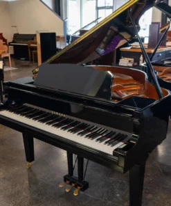 YAMAHA GA1
