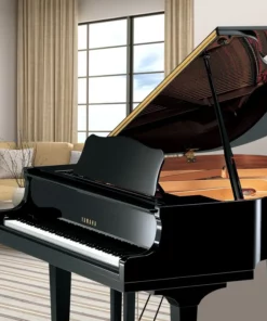 YAMAHA GB1K FP