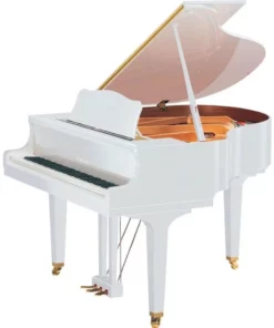YAMAHA GB1K FP