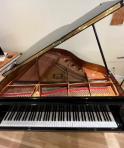 YAMAHA GB1K PAW