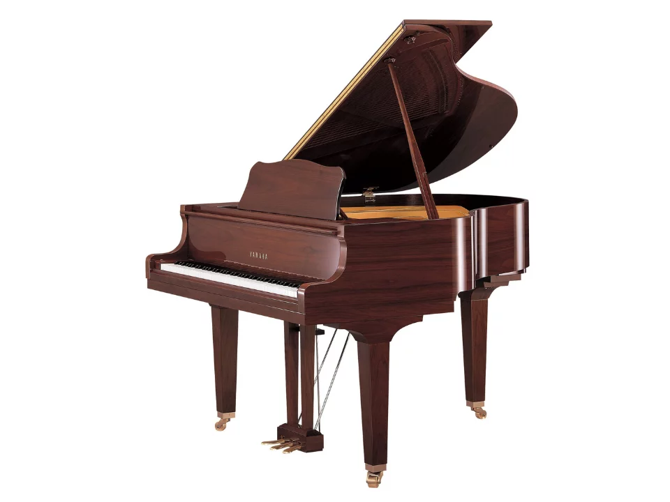 YAMAHA GB1K PAW