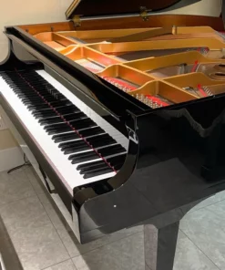 YAMAHA GB1K PE (USED)