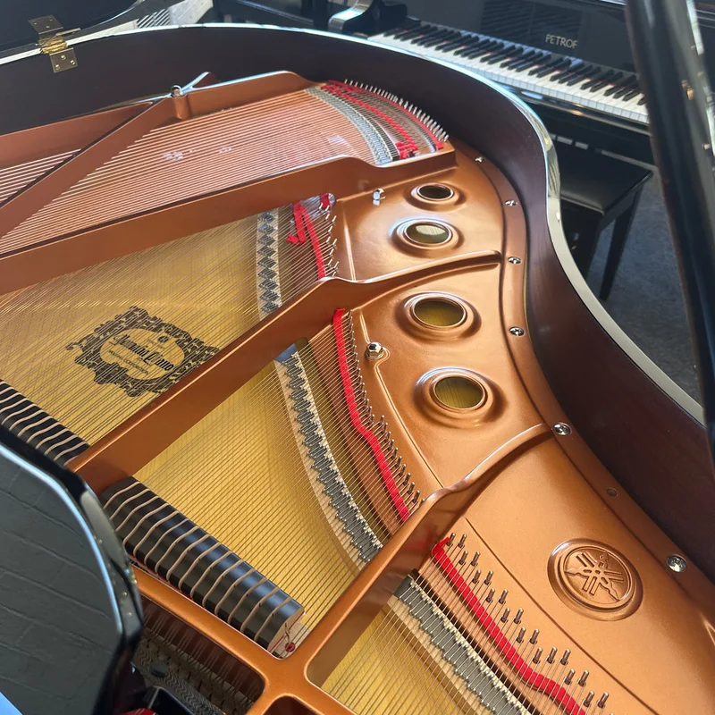 YAMAHA GB1K PM - Elite Piano