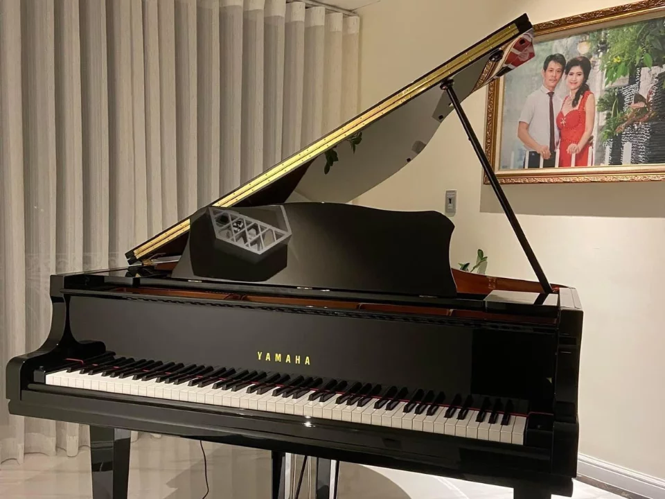 YAMAHA GC1 PE (USED)