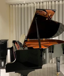 YAMAHA GC1 PE