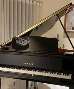 YAMAHA GC1 PE